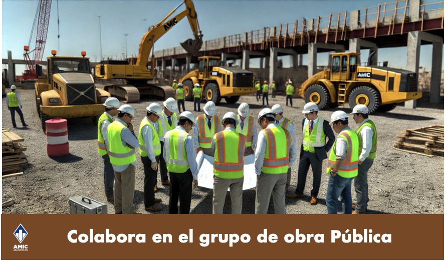 Colabiora en el grupo de obra publica AMIC